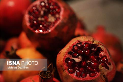 ذخیره سازی میوه شب یلدا