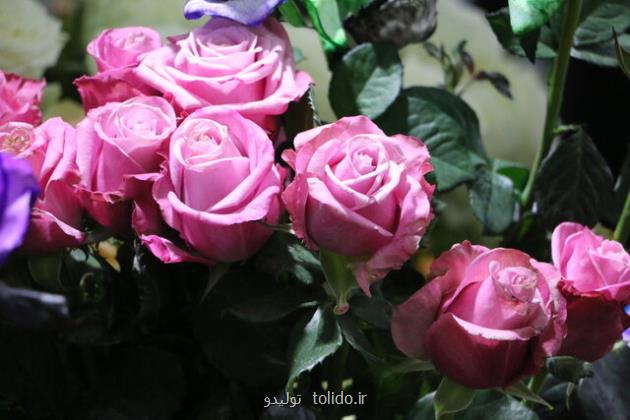 دلیلهای افزایش قیمت گل در ایام گذشته