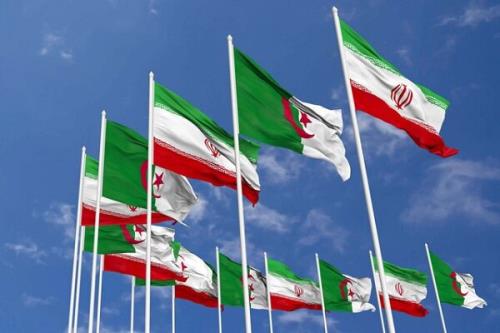 تقویت روابط اقتصادی تهران - الجزیره فرصتی تازه در سایه دیپلماسی فعال