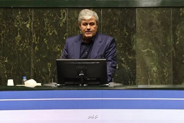 ادعای گران کردن آرد یا گندم توسط مجلس صحیح نیست