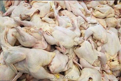 صادرات گوشت مرغ ممنوع می شود صادرات گوشت مرغ ممنوع می شود