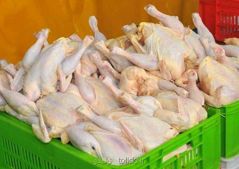 قیمت مصوب مرغ ۱۱ هزار و ۵۰۰ تومان است نه بیشتر قیمت مصوب مرغ ۱۱ هزار و ۵۰۰ تومان است نه بیشتر