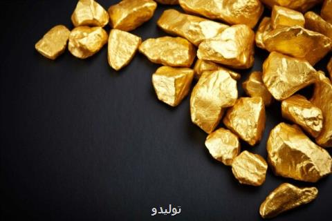 كشف ۲ كیلوگرم شمش طلا در كفش یك مسافر كشف ۲ كیلوگرم شمش طلا در كفش یك مسافر