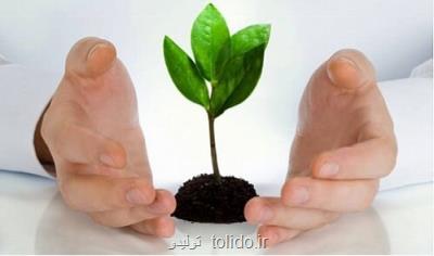 فوقش بیست و پنج درصد! فوقش بیست و پنج درصد!