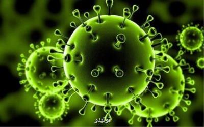 تسهیلات اقتصادی، شامل اشخاص حقوقی هم بشود تسهیلات اقتصادی، شامل اشخاص حقوقی هم بشود